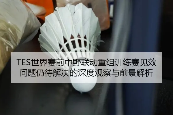 TES世界赛前中野联动重组训练赛见效问题仍待解决的深度观察与前景解析